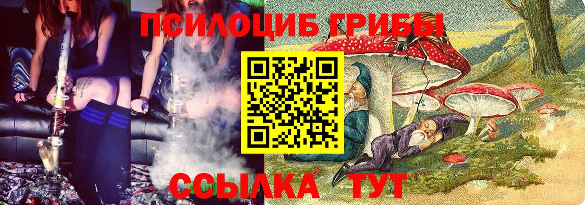 Псилоцибиновые грибы GOLDEN TEACHER Нефтекамск
